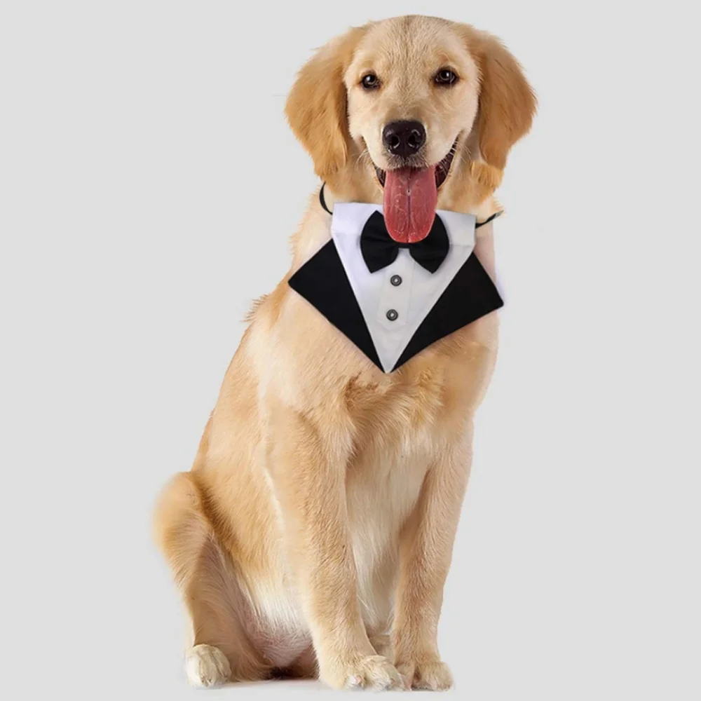 DOG MEDIUM Removable Tuxedo Collar Pet Wedding Black Tie Affair Dress Code